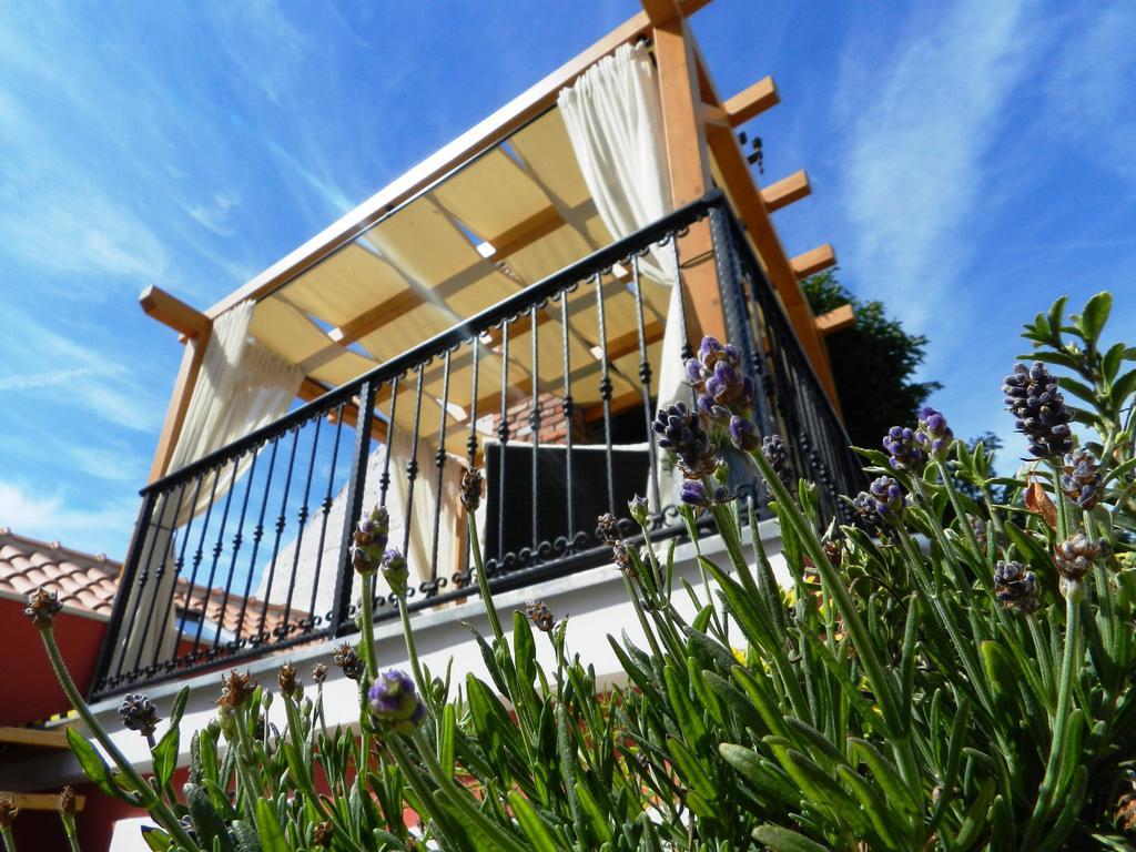 House Of Milka Villa Zadar Dış mekan fotoğraf